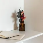 Apartamento Douce évasion *